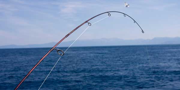 7th Annual VIctoria API Fishing tournament