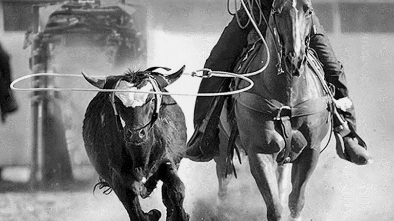 Team Roping & Cookoff